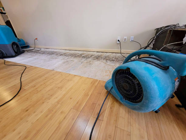 Professional Basement Flood Cleanup technician working in Webster, SD